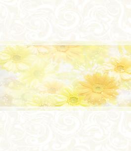 黃色花朵