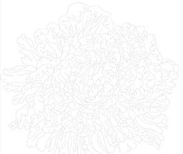 玻璃花紋