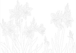 玻璃花紋