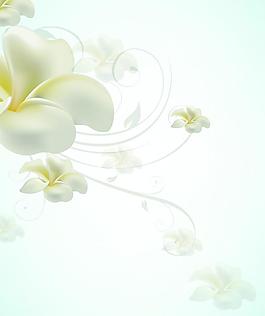 花朵背景
