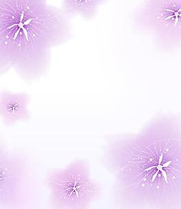 紫色花朵