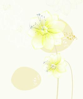 花朵背景