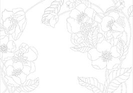 玻璃花紋