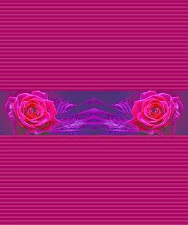 花之韻