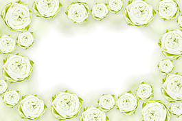 蓮花