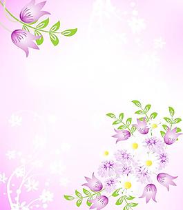 紫色花