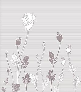 玫瑰花紋