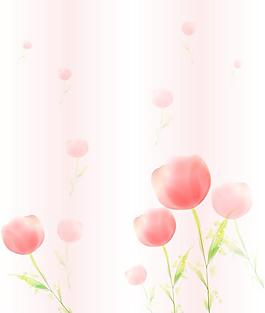 郁金香