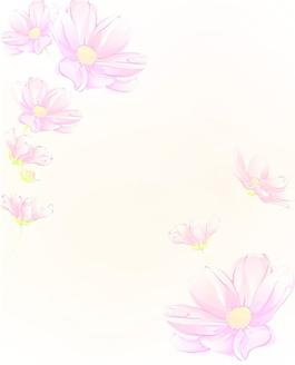 粉色花朵