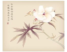 孤芳自賞