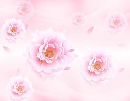 玫瑰