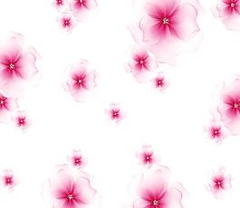 夢幻花朵