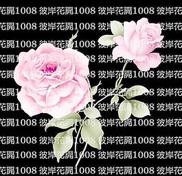 手繪花紋素材團(tuán)