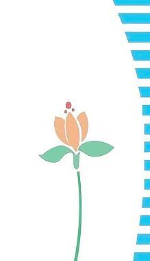 盛開的花