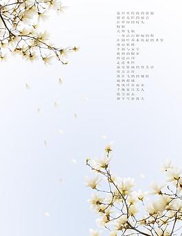白玉蘭