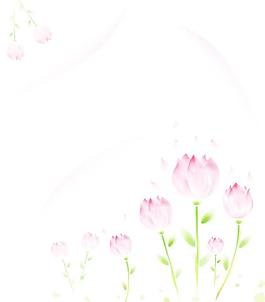 芳香荷韻