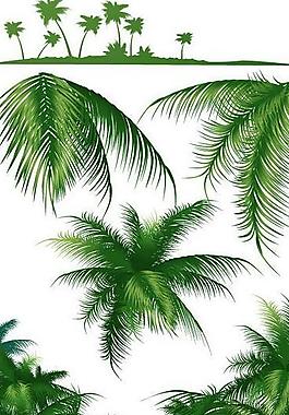 椰子树植物系列矢量图