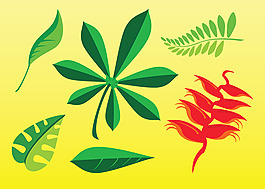 免費(fèi)的植物圖片