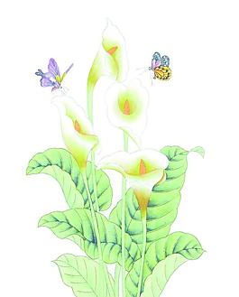 移門(mén)圖案