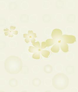 雅荷春天