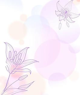 百合