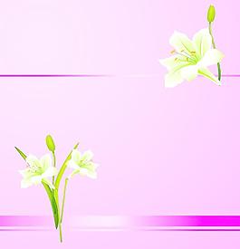 移門百合