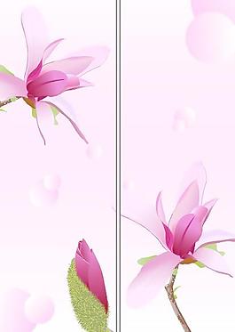 玉蘭花