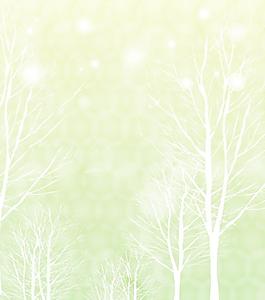 背景樹干
