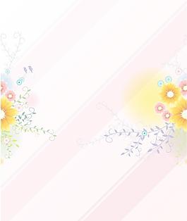 精美菊花