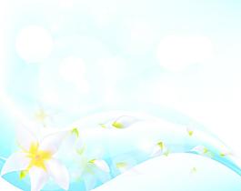 雞蛋花