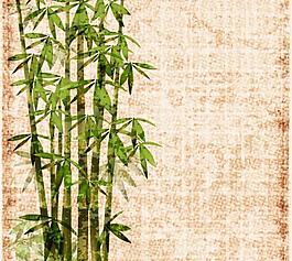 竹葉竹子背景矢量圖3