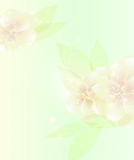 花朵背景
