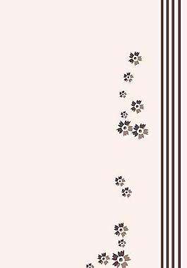 時(shí)尚花紋