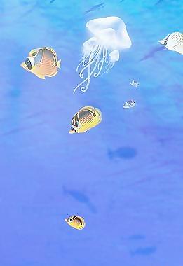 平開門海底世界
