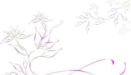 花紋