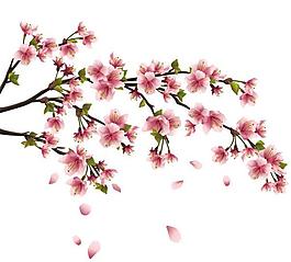 精美桃花矢量圖2