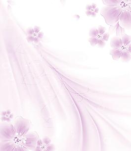紫色花朵