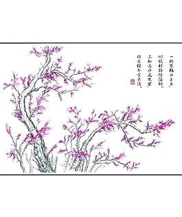 梅開瑟瑟