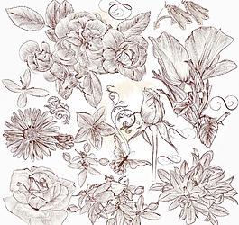 手繪花卉