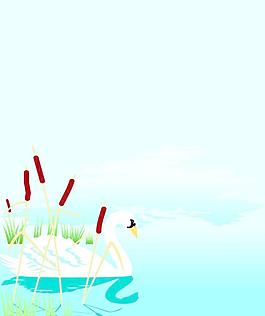 白天鵝