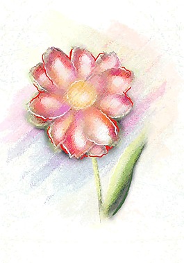 水彩花卉背景矢量插畫