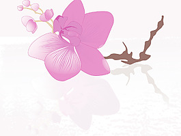 摘要背景與花
