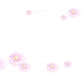 蓮花