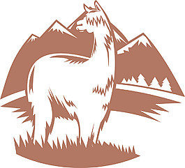 蘇瑞羊駝山