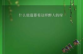 翠绿垂柳绿芽PPT模板