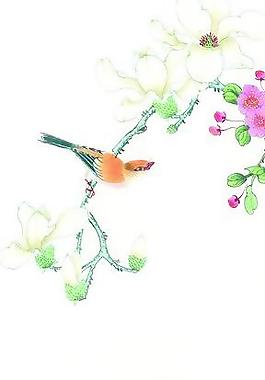 花鸟国画