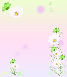 花梦幻