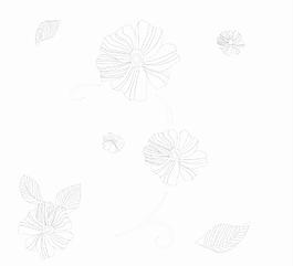 花之韻