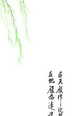 比翼雙飛
