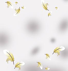 羽毛